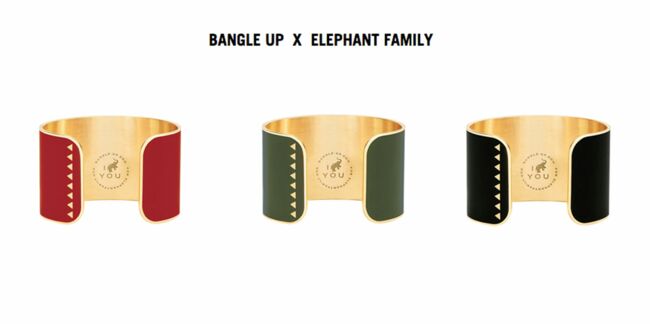 Bangle up x Elephant Family : un bracelet pour sauver les éléphants