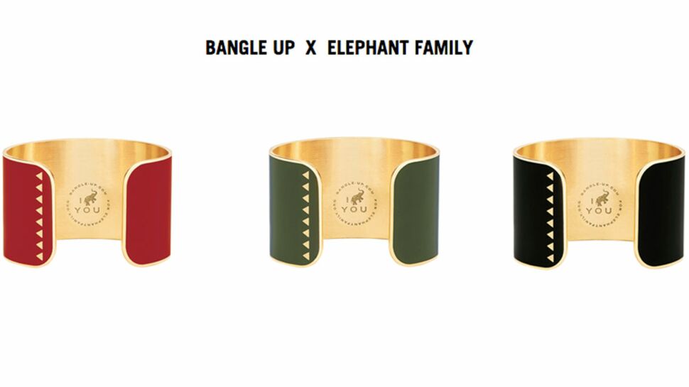 Bangle up x Elephant Family : un bracelet pour sauver les éléphants