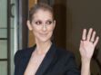 Photos - Céline Dion montre son soutien-gorge dans une tenue très sexy