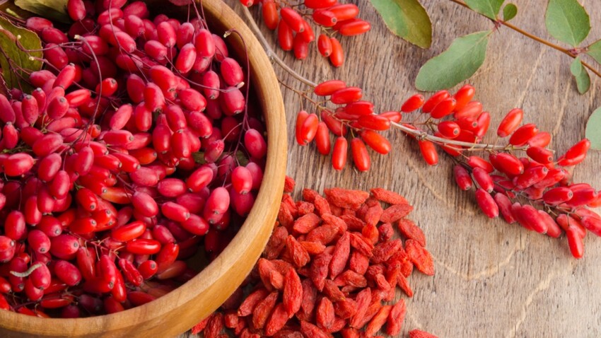 Baies De Goji Pourquoi Elles Sont Si Bonnes Pour La Sante Femme Actuelle Le Mag