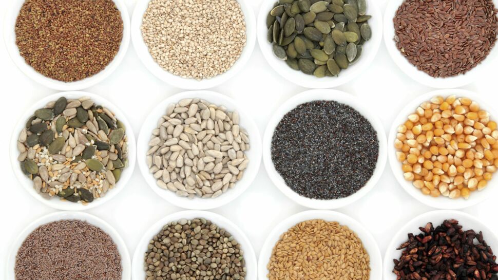 Quelles graines germées choisir pour quels bienfaits ?