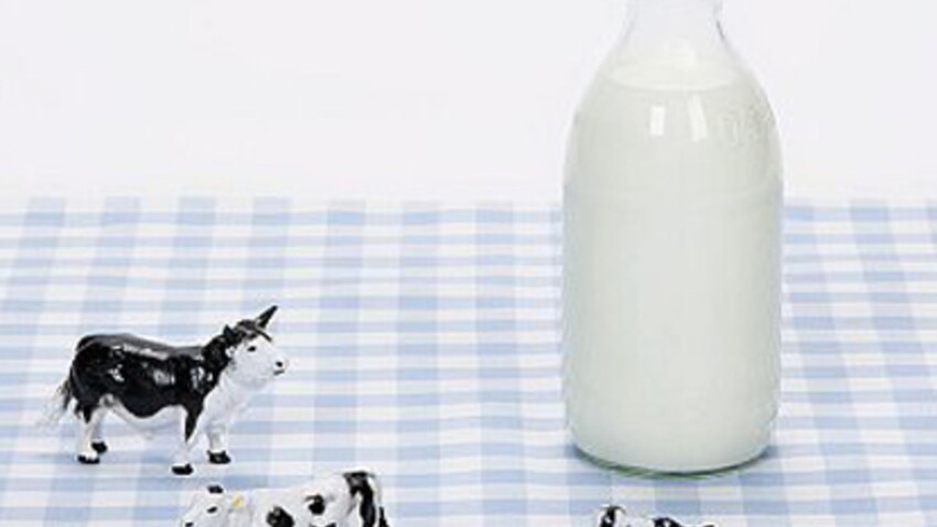 Des Recettes Pour Les Allergiques Au Lait Femme Actuelle Le Mag