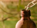 Aromathérapie : petite initiation aux huiles essentielles