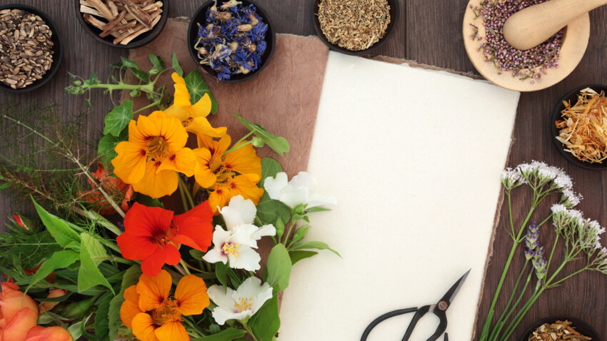 15 Remedes De Grands Meres Pour Soigner Les Bobos Du Quotidien Femme Actuelle Le Mag