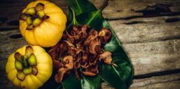 glucose comment interpreter le taux dans le  glycemie  les