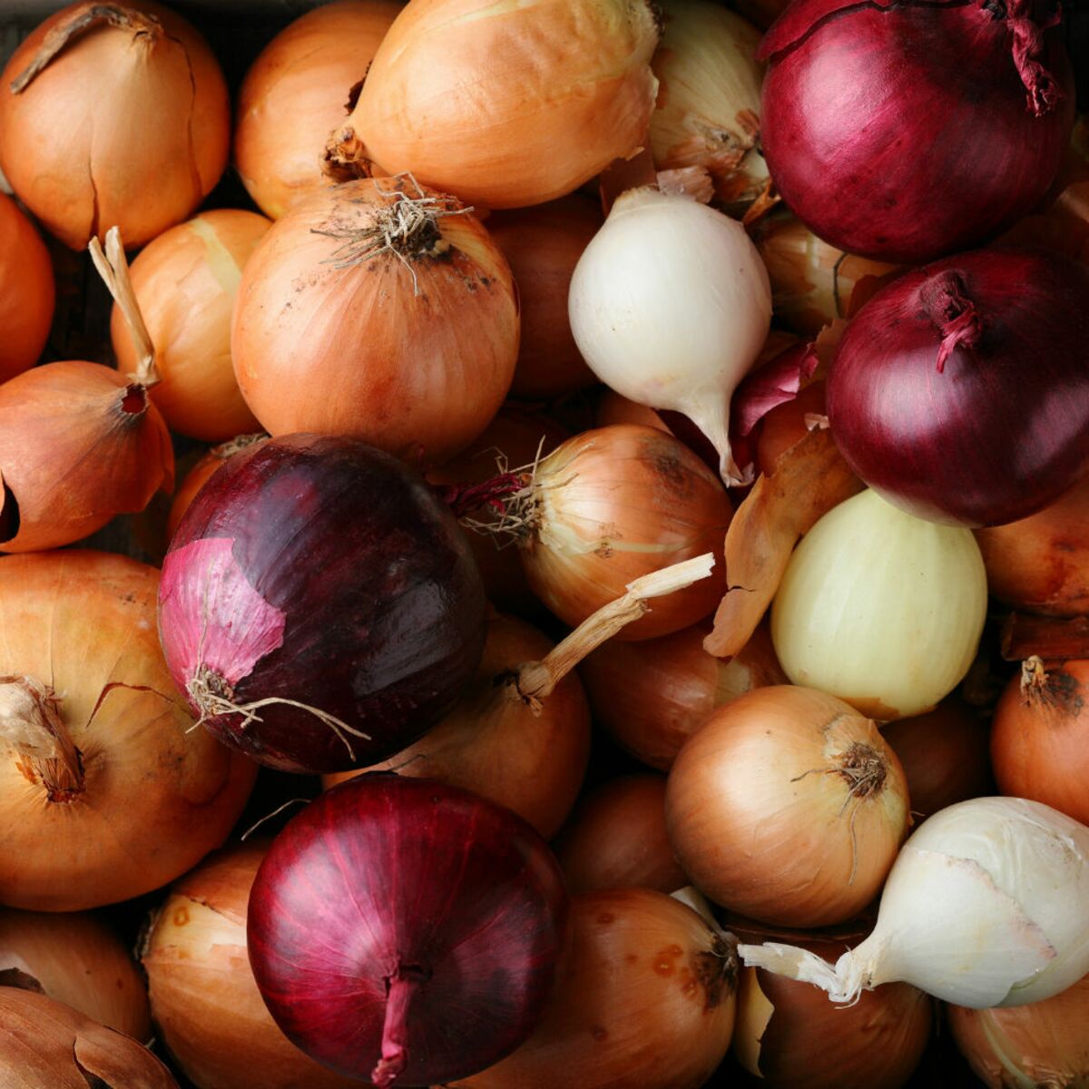 10 Vertus Sante Insoupconnees De L Oignon Femme Actuelle Le Mag