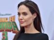 Cancer du sein : le médecin d’Angelina Jolie donne ses conseils de prévention et crée la polémique