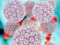 Cancer du col : les nouveaux tests de dépistage HPV