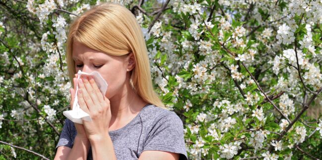 30 % des adultes souffriraient d’allergie au pollen