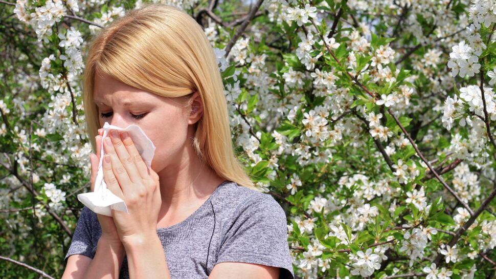 30 % des adultes souffriraient d’allergie au pollen