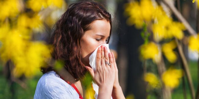 Allergies au pollen : quelles sont les villes concernées ?