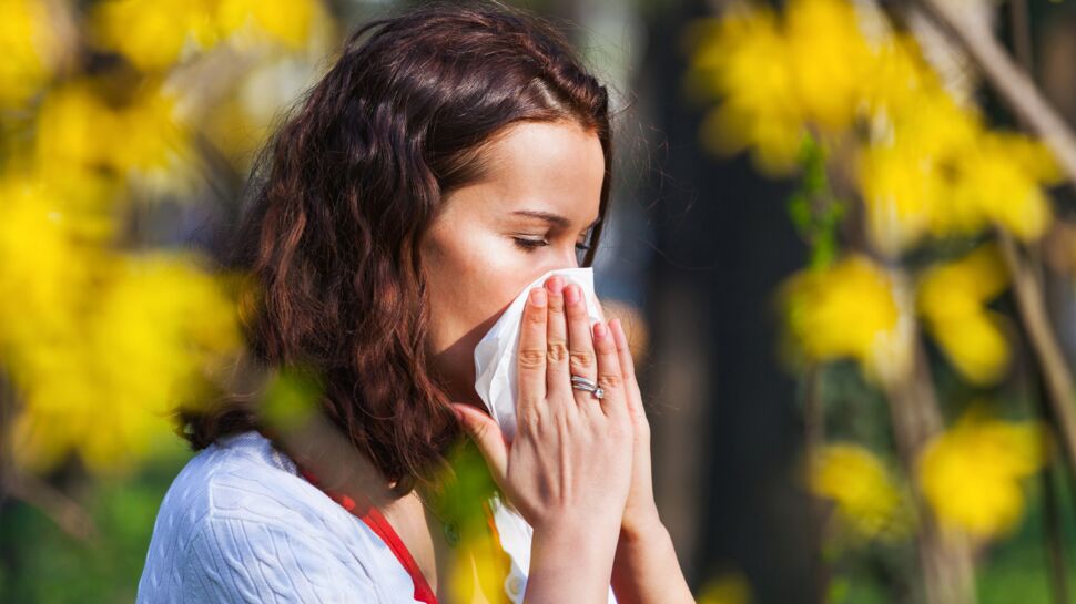 Allergies au pollen : quelles sont les villes concernées ?