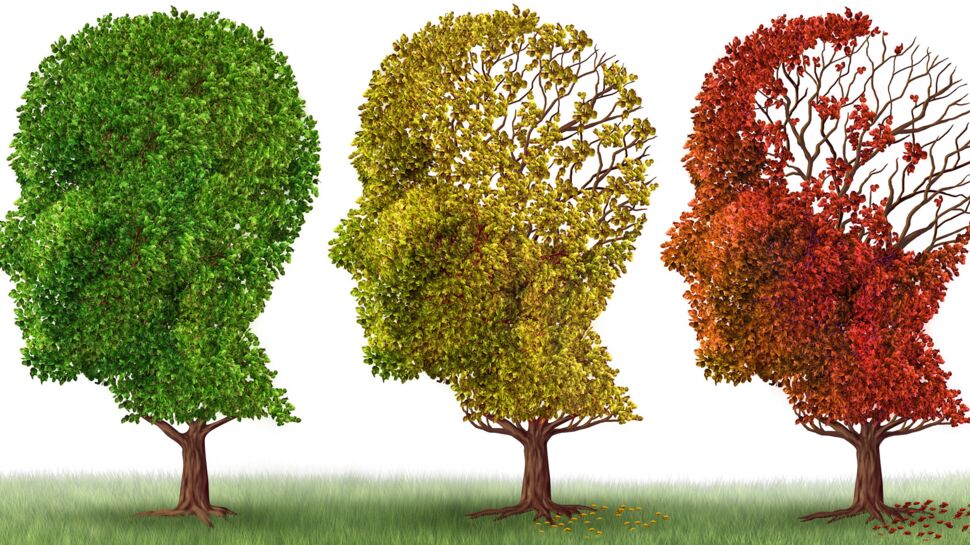 Alzheimer : un cocktail contre le vieillissement du cerveau