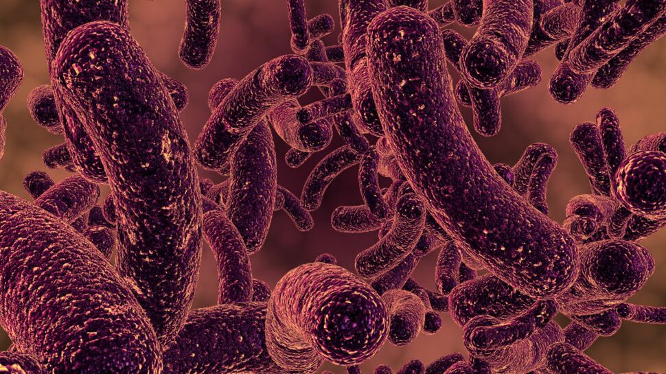 Bactéries résistantes aux antibiotiques : bientôt un traitement efficace ?