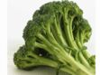 Pour lutter contre le cancer, mangez du brocoli !