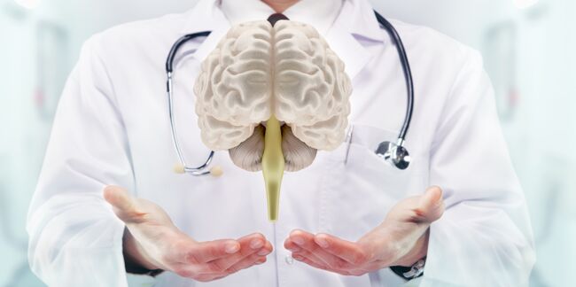 Un cerveau « virtuel » pour mieux comprendre l’épilepsie