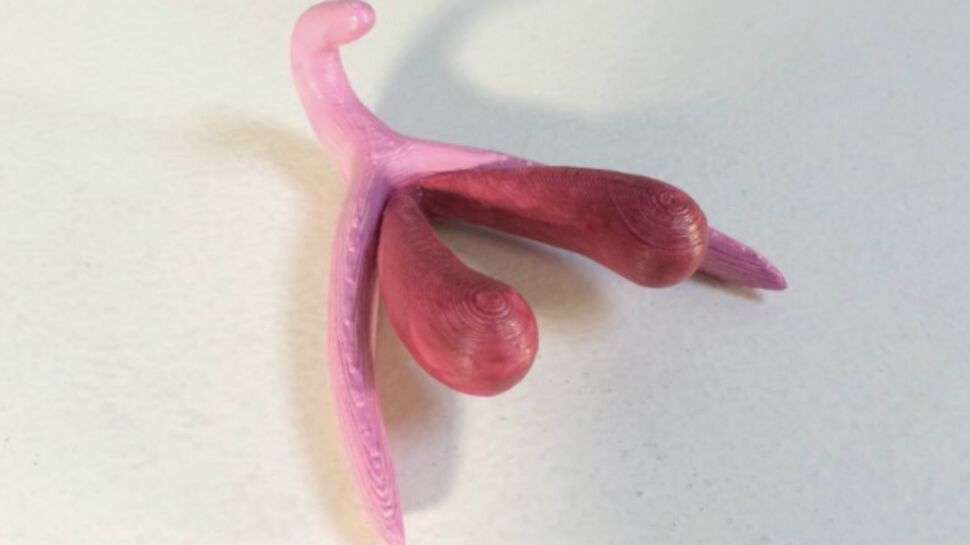 Un clitoris taille réelle vient d’être imprimé en 3D !