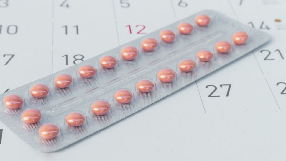 Contraception : une pilule à base de plantes et sans hormones pourrait voir le jour