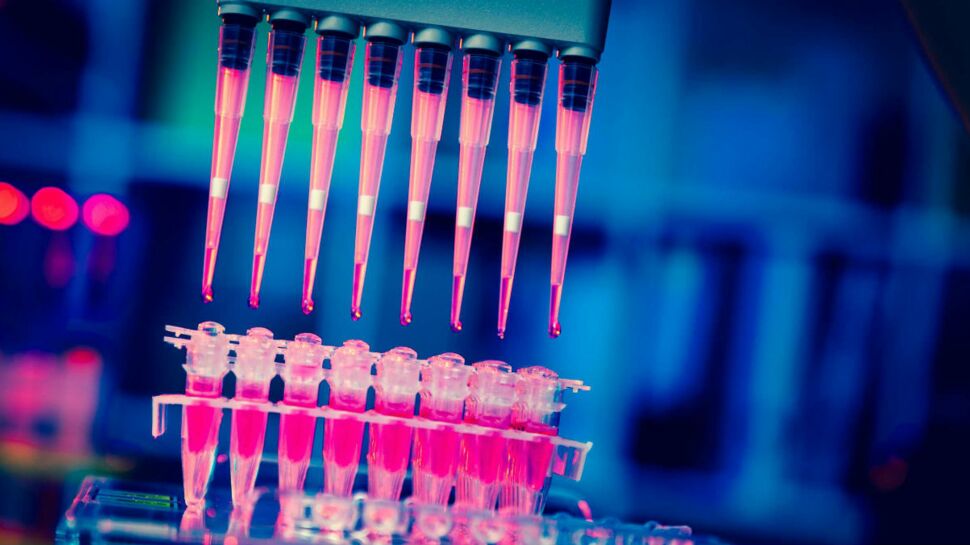 CRISPR, la thérapie génique anti-cancer qui suscite beaucoup d'espoir