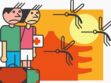 Epidémie de dengue : les précautions à prendre
