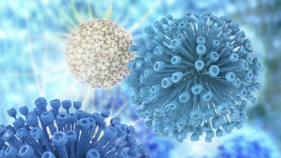 Des anticorps contre le SIDA : une découverte fascinante