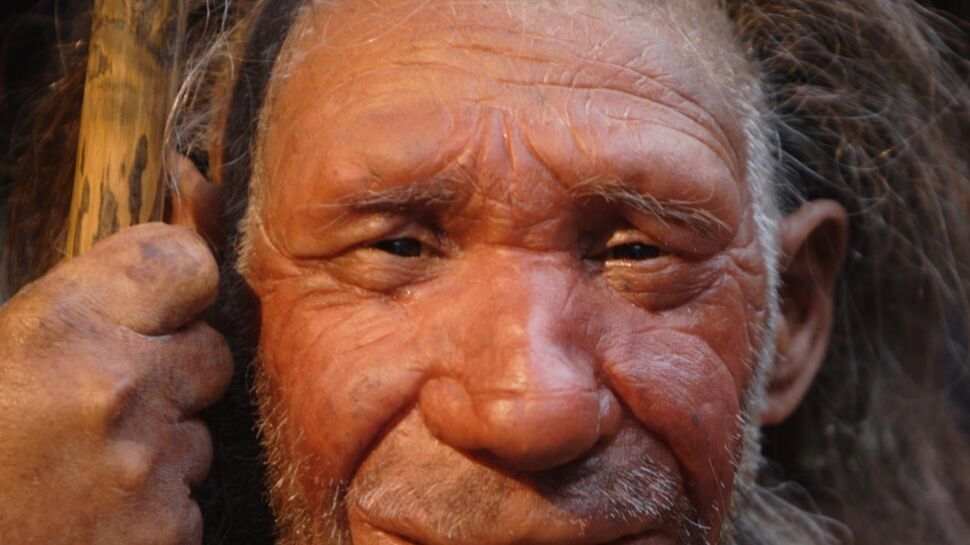 Génétique : l'homme de Néandertal et la femme moderne, pas compatibles