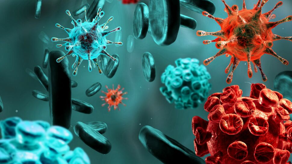 Les hépatites virales, aussi meurtrières que le sida et la tuberculose