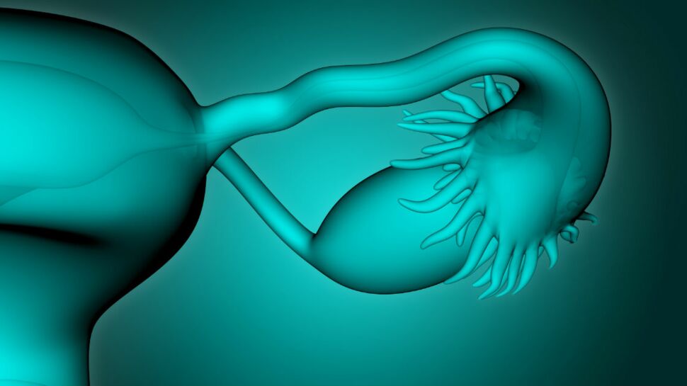 Infertilité : bientôt une solution grâce à des ovaires en 3D ?