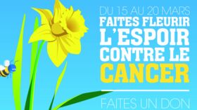 Cancer Lancement De La Campagne Une Jonquille Pour Curie Pour Soutenir La Recherche Contre La Maladie Femme Actuelle Le Mag