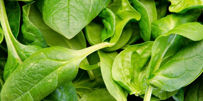Alimentation : Des légumes verts pour améliorer la santé digestive