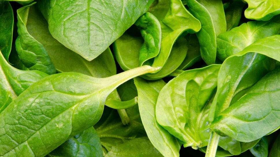 Alimentation : Des légumes verts pour améliorer la santé digestive