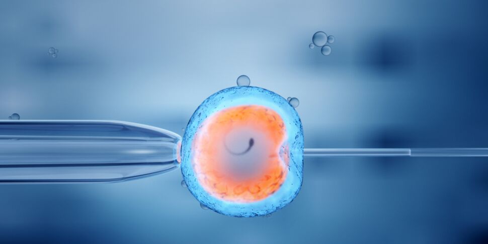 Les Français inquiets face à la modification génétique d'embryons humains