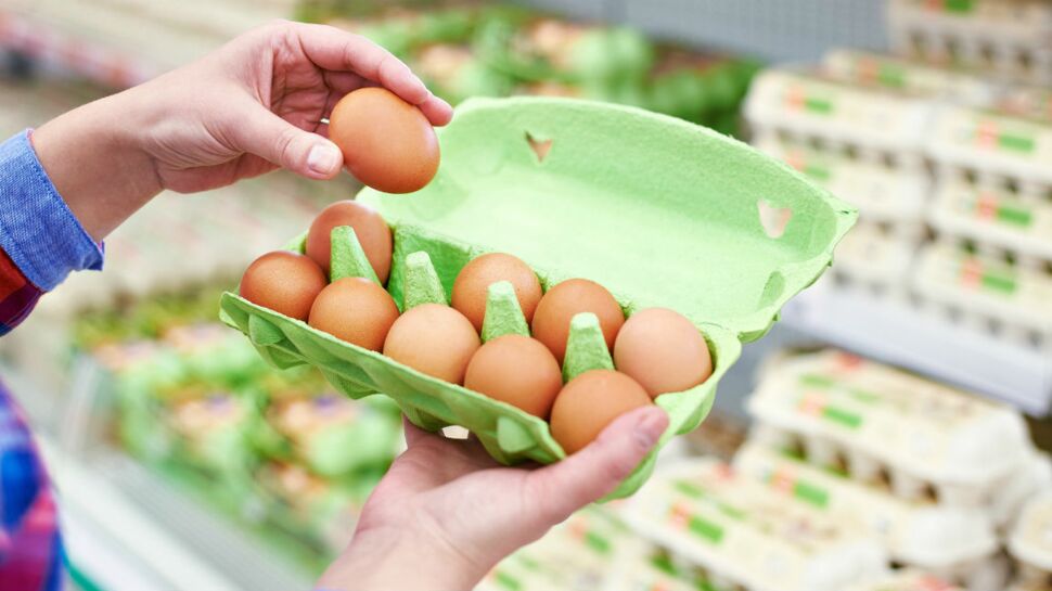 Quels sont les produits concernés par l’affaire des œufs contaminés ? Découvrez la liste