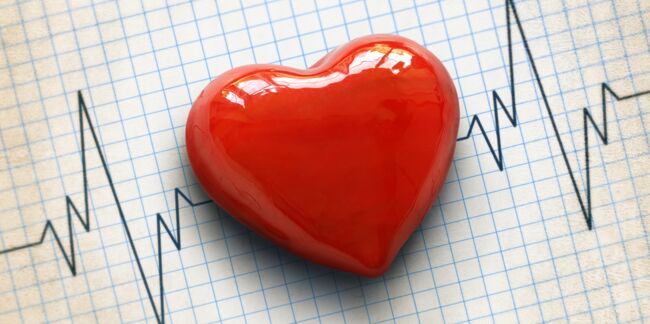 Maladies cardiovasculaires : des programmes de recherche dédiés aux femmes