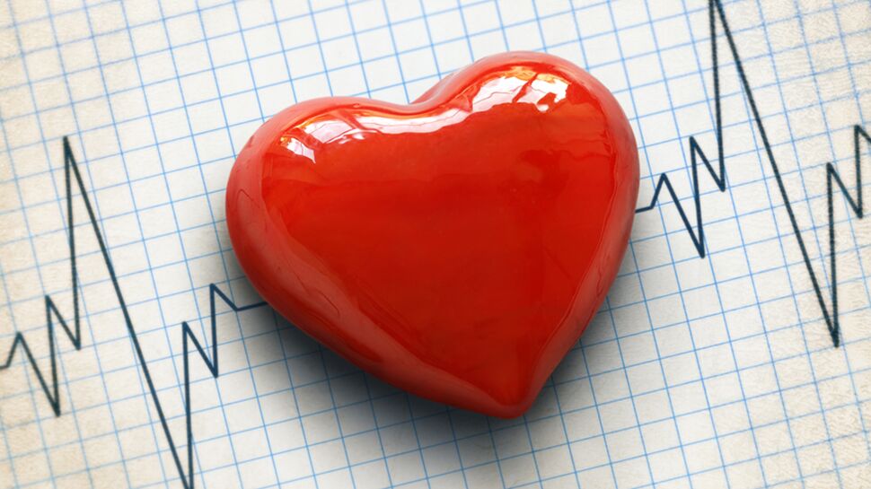 Maladies cardiovasculaires : des programmes de recherche dédiés aux femmes