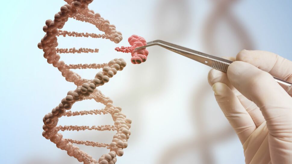 Des médecins sont parvenus à modifier l’ADN d’un homme vivant