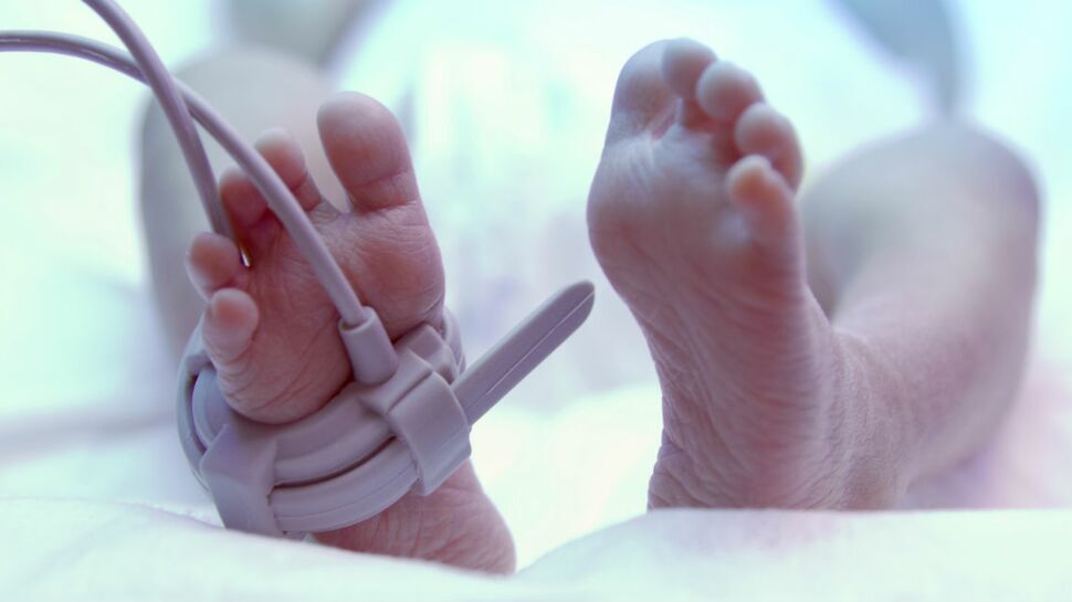 Mort suspecte de deux bébés prématurés : une bactérie dans le lait maternel mise en cause