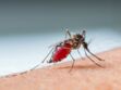 Paludisme : Un nouveau vaccin testé sur des enfants