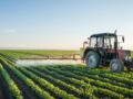 Perturbateurs endocriniens : le gouvernement publie une liste de 1600 pesticides suspects
