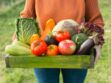 Pesticides : quels sont les 12 fruits et légumes les plus contaminés ?
