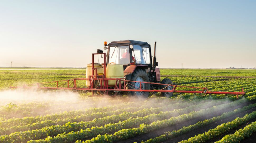 Pesticides : 61 cas de maladies professionnelles chez les agriculteurs en 2016