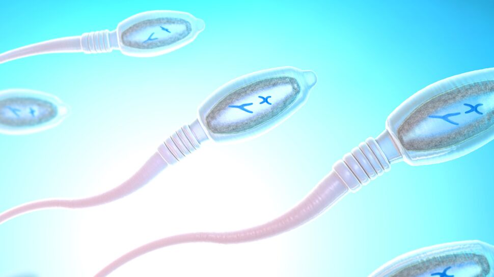 La PMA pour toutes risque d'entraîner une pénurie de dons de sperme