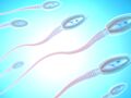 La PMA pour toutes risque d'entraîner une pénurie de dons de sperme
