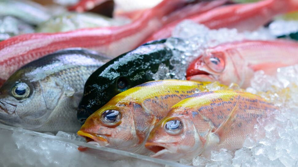 Japon : un établissement vend par erreur un poisson potentiellement mortel