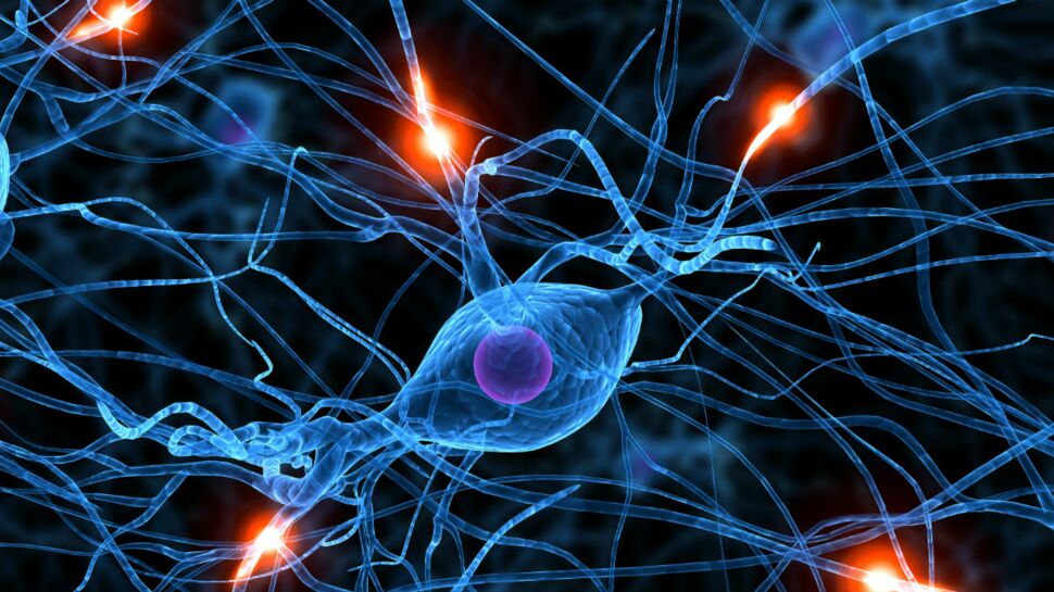 Réparer les neurones : bientôt possible