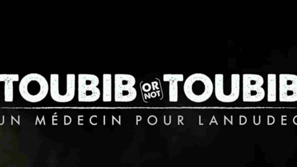 "Toubib or not toubib" : une vidéo humoristique pour attirer un médecin à Landudec