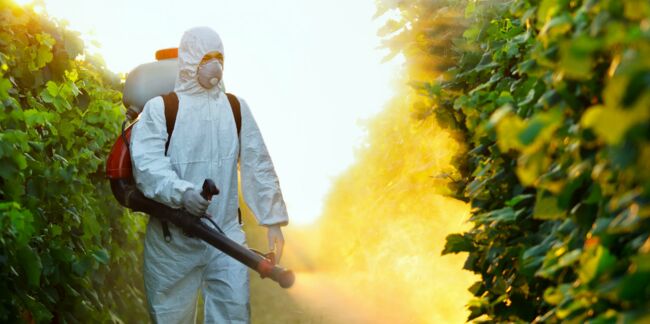 Pesticides : des résidus de glyphosate dans les urines de 30 personnalités