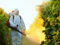 Pesticides : des résidus de glyphosate dans les urines de 30 personnalités