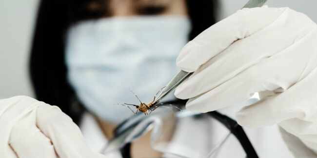 Zika : le virus peut vivre dans le sperme