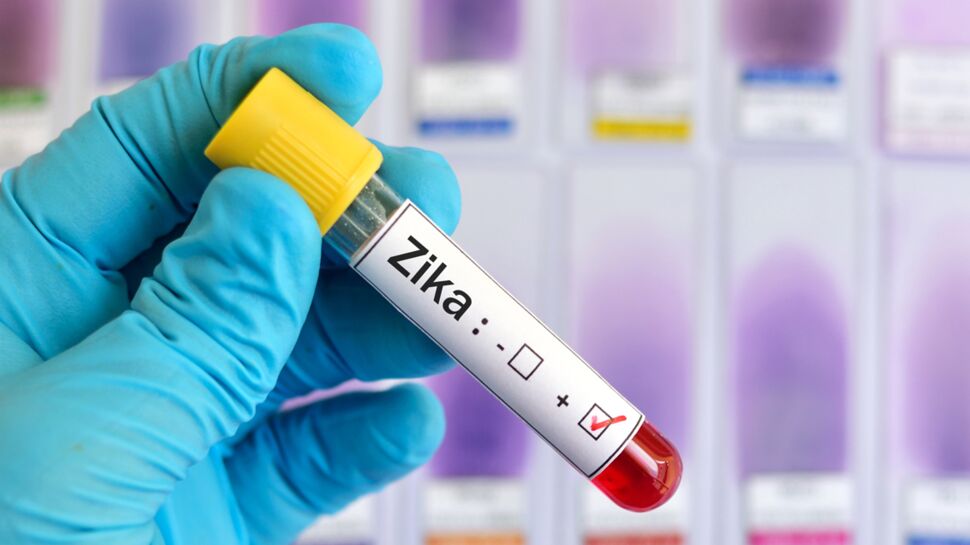 Zika : de nouveaux modes de transmission découverts